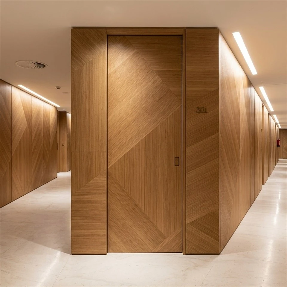 Concealed Frame Door best